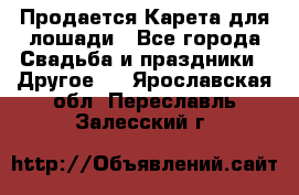 Продается Карета для лошади - Все города Свадьба и праздники » Другое   . Ярославская обл.,Переславль-Залесский г.